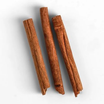 Premium Bulk Cinnamon And Ground Cinnamon With Natural Fragrance For Cinnamon Exporters And Wholesale Traders - THE GREEN INTERNATIONAL LIMITED - Tanzania
