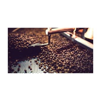 Robusta coffee beans accessible in substantial quantity for quick delivery and continuous supply - MASI TRADING GMBH - Germany