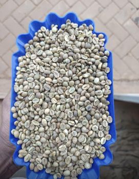 Uganda coffee beans – product photo, Beans products found from trusted suppliers, wholesalers, manufacturers & exporters Listing