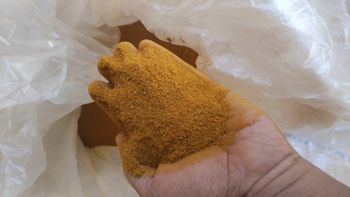 Turmeric powder feedgrade - Dhanesa rembulan utama - Indonesia