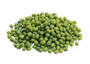 Green mung beans polished - SULTAN AGRO IMPEKS - Uzbekistan