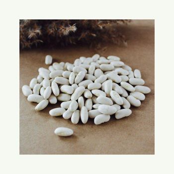 natural white beans for cooking soups stews curries and salads premium dried beans rich in protein fiber vitamins and minerals ideal for healthy recipes vegan cooking and nutritious meal preparation - SATTER FOOD AND BEVERAGE - Netherlands