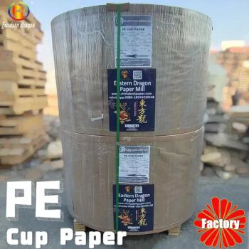 230g Double PE Coated Paper/Tea Cup paper - Qingdao Eastern Dragon Pulp& Paper Co., Ltd. - China