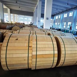 Communication Cables Asu Fiber Optic 2fo Fiber Drum Optical Fiber Drum - Hunan Feibo Guangtong Communication Equipment Co., Ltd. - China
