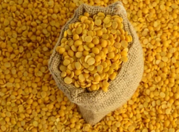 Yellow Lentil Grade A Color Yellow Packaging PP begs Cooking Time Quick Shelf Life 9 months Place of Origin India Flavor Nutty And Earthy - Kredos Globx - India