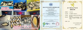 Frozen Half Shell Mussels Size: 8–10 pcs/kg Ice Glaze: 15% Net Weight (mussel flesh): 85% Packing: 1kg per bag, 10 bags - HAILING - China