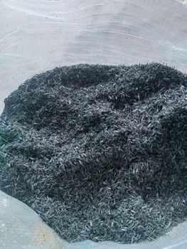 Rice husk charcoal - Najah Export Abadi - Indonesia