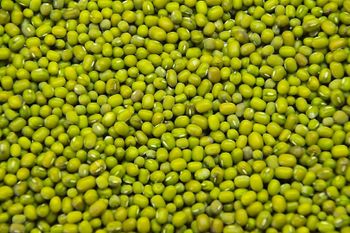 Green Mung Beans - DABELU ENTERPRISES LIMITED - Kenya