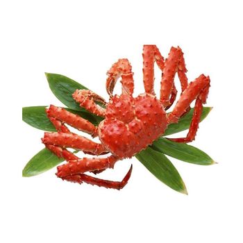 Premium Live Red King Crab wholesale bulk supply high quality live crab - Medcompex Gmbh - United Kingdom