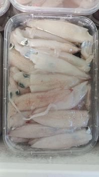 Frozen squid Texture Firm Quality Premium Shelf Life Long Condition Frozen Origin Indonesia Packaging Plastic Pricing Competitive - PT BARA ATMAJAYA SUKSES - Indonesia