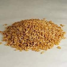 Durum wheat from Balingi Trading Company (PTY) Ltd Durum wheat - Balingi Trading Company (PTY) Ltd - South Africa