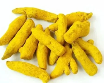 turmeric - Keshwari masale - India
