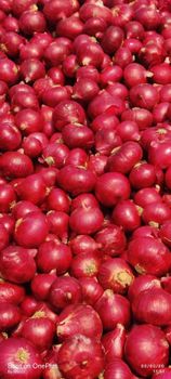NASHIK FRESH RED ONION – product photo, Dried Red Onion products found from trusted suppliers, wholesalers, manufacturers & exporters Listing