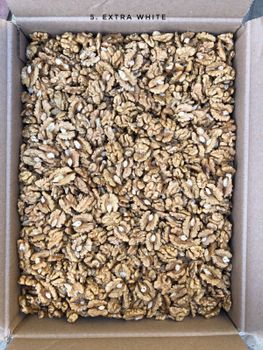 Cheap Wholesale Other Price Trade Nuts and Dried Mixed Fruits Drying Import Nuts Walnuts Raw in Shell - PLANETE COMMERCE - France