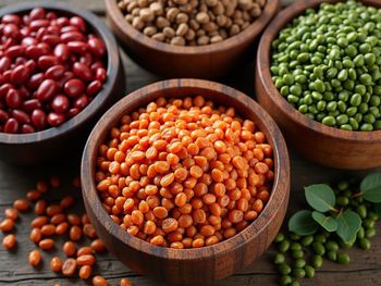 Pulses & Lentils from Savannah Source Global Trade Ltd Pulses & Lentils - Savannah Source Global Trade Ltd - Kenya