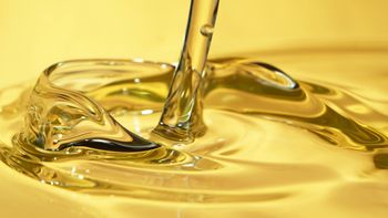 Refined sunflower oil from Tinto y Oro Refined sunflower oil - Tinto y Oro - Netherlands
