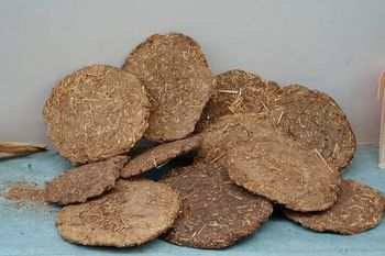 Cow dung, Organic Fertilizers - AVR enterprises - India