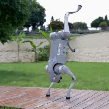 Yh-C63 Go2 Four-Legged Mechanical Dog Ai Robot Dog with 4K Camera - Shenzhen Yihao Technology Co., Ltd. - China