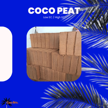 Eco-Friendly Natural Coco Peat Blocks from Coco Brix Indonesia Eco-Friendly Natural Coco Peat Blocks - Coco Brix Indonesia - Indonesia