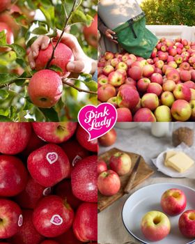 Fresh Pink Lady Apples available Organic Yes Variety Pink Lady Origin South Africa Degree of Processing Fresh - NINE FRUITS EXPORTS (PTY) LTD - South Africa