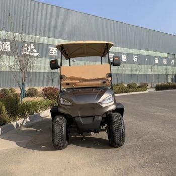 Long Mileage 2 Passenger Grey Shell Electric Lifted Hunting Golf Cart - Shandong Juhang Vehicle Co., Ltd. - China