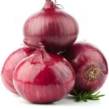 High Quality Organic Peeled Red Onions Food Grade Export Variety from Indian Supplier Fresh Onion for Multipurpose Use whatsap +255787979235 - AL JABLI TRADING COMPANY LIMITED - Tanzania