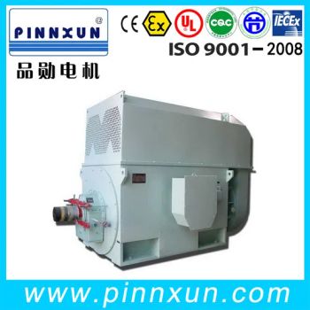 Three Phase High Voltage AC Motors - Shanghai Pinnxun Electric Motor Co., Ltd. - China