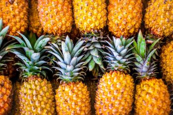 Pineapple – product photo, Fresh Orange Fruit products found from trusted suppliers, wholesalers, manufacturers & exporters Listing
