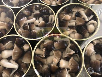 Canned straw mushroom - VEGEHAGI LIMITED COMPANY - Vietnam