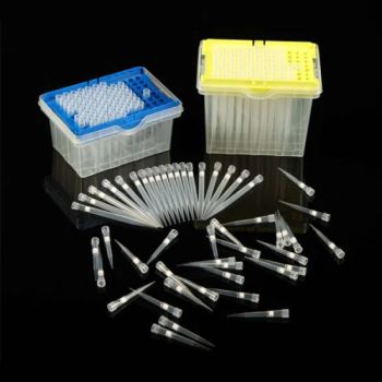 Lab Disposable Universal 10UL Filter / Low-Retention / Steriled Pipette Tips Micropipette Tips - FUZHOU BORNI PHARMACEUTICAL SCI.& TECH.CO., LTD. - China