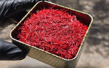 Saffron - red gold - Iran