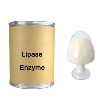 High Activity Lipase Enzyme Powder 100000u/G Food Grade Digestive Support - Hefei July Biotechnology Co., Ltd. - China