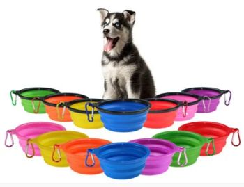 Colorful Collapsible Silicone Pet Cat Dog Food Water Feeding Bowls - Dongguan Bright Sea Industrial Co., Ltd. - China