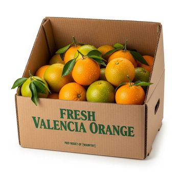 Fresh Valencia Orange Carefully Packed For Wholesale Distribution Featuring Juicy Segments And Excellent Fresh Condition - TOSOH INTERNATIONAL - South Africa