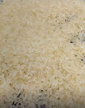 Broken Rice - SILVERSTONE IMPORT AND EXPORT LIMITED - Tanzania