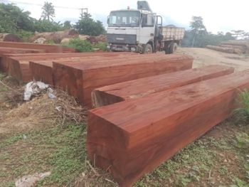 Teak and Okan Wood Durability High Versatility High Aesthetic Appeal High Origin African Origin Wood Type Teak And Okan Sustainability - EASTHUB SPRINGS LTD - Nigeria