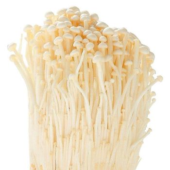 ENOKI MUSHROOM HIGH QUALITY AND BEST PRICE FROM VIETNAM READY TO EXPORT - VIET D.E.L.T.A INDUSTRIAL CO., LTD - Vietnam