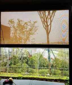 Zip Screen Garden Awning Roller Screen Ultra-Durable External Straight Drop Blinds - Tianjin Jiegao Technology Develop Co., Ltd. - China
