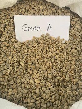 robusta coffee – product photo, Bean products found from trusted suppliers, wholesalers, manufacturers & exporters Listing