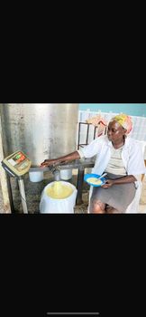 Organic Nilotica Shea butter Grade A, Grade A Shelf Life 2 years Origin Northern Uganda Processing Method Cold-pressed Certifications Usda Certified Organic - ENIMIRO PRODUCTS UGANDA LTD - United Arab Emirates