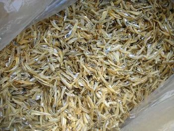 Dried Anchovy Fish - GIFEX AGRO TANANZIA LIMITED - Tanzania