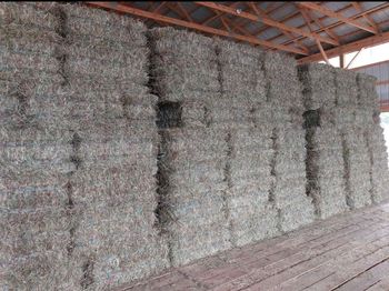 Lucerne Hay from BF GLOBAL TRADING (PTY) LTD Lucerne Hay - BF GLOBAL TRADING (PTY) LTD - South Africa