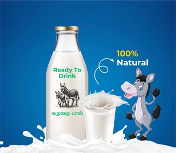Donkey milk - Ar dairy farms - Pakistan