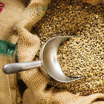 Pure green coffee bean – product photo, Organic Arabica Green Coffee Beans products found from trusted suppliers, wholesalers, manufacturers & exporters Listing