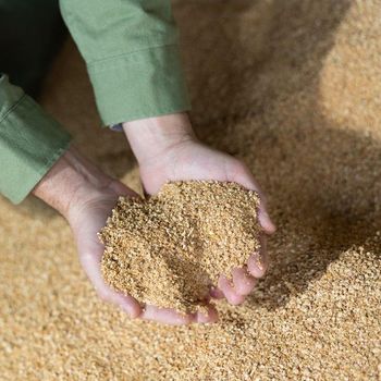 Top Quality Non Gmo Soybean Meal for Animal Feed from Banyen Inter Corp Top Quality Non Gmo Soybean Meal for Animal Feed - Banyen Inter Corp - Thailand