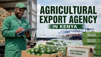 Premium export-grade Kenyan Hass avocados - RONNIE FRESH FARM PRODUCE - Kenya