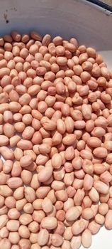 Peanuts from Farmers Cooperative Limited Peanuts - Farmers Cooperative Limited - Tanzania