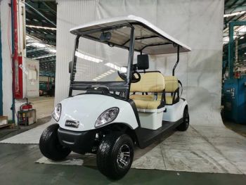 Classic Buggy China Manufactory Electric Small Car Sightseeing Car - Luckyram Technology Co., Ltd - China
