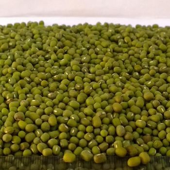 Natural Green Mung Beans Bulk Premium Green Mung Beans High Quality Protein Rich Healthy Legumes - AGRO AFRIQUE COMPANY LIMITED - Tanzania