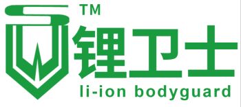 Product - Huizhou LWS New Energy Technology Co., Ltd. - China